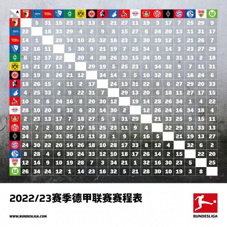 我们期望他在2024年欧洲赛季初准备好回归，也就是（明年）八月份。